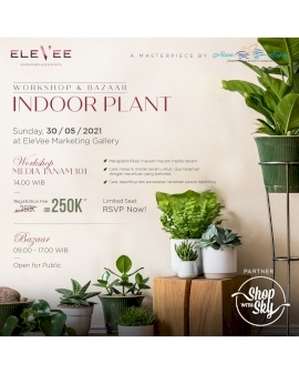 Workshop & Bazaar Indoor Plant 